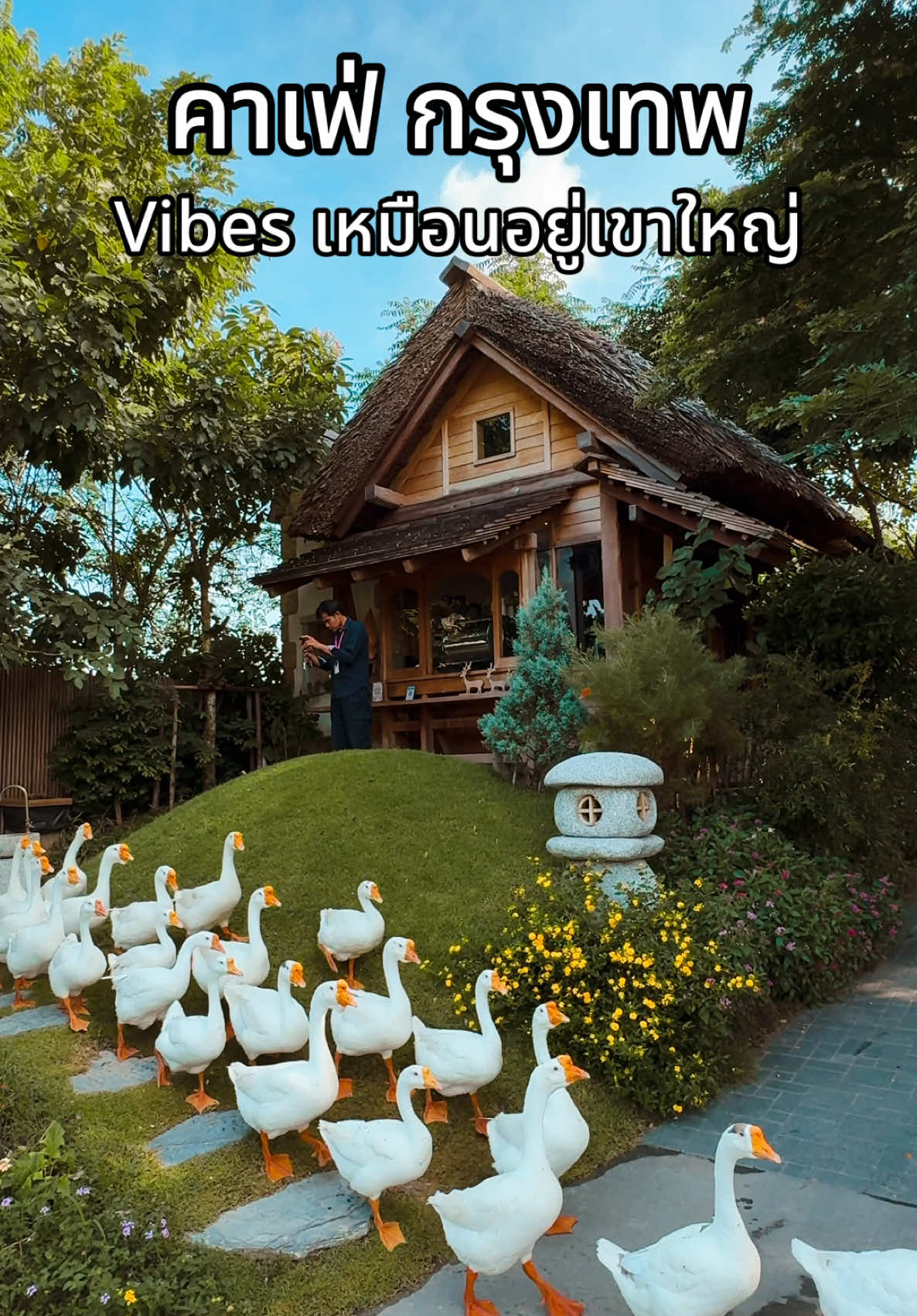 พึ่งไปมาเมื่อเช้านี่เลยค่ะ คาเฟ่ ชื่อ 888 Little Hills ตรงหลักสี่ นี่เองค่าา น้องห่านกำลังเดินกลับบ้าน รอบเช้าเลยค่า เครื่องดื่มแก้วล่ะ20 บาท และอร่อยด้วยน้า #traveltiktok #เที่ยวไทย #cafehopping #bangkok #thailand🇹🇭 