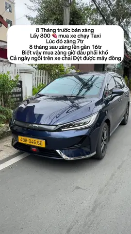 Đừng ai theo tui nha . Có tiền mua zàng cho chắc kk #dalat #dvxetudalat 