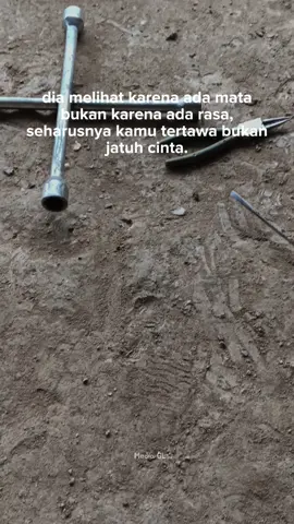 #logingkalimantan #kulikayu_anakrantau #rantaukalimantan kalima