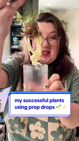 Replying to @✝️ 📚Read with Heather ✝️ 📚 i feel as though i can get any plant to propagate successfully when i use prop drops!  #propdrops #plantpropagation #propagatingplants #plantsoftiktok #tiktokshopblackfriday 