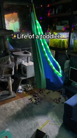 This sensory swing would make the perfect Christmas gift. Just sayin 🖤 #sensoryswing #MomsofTikTok #fallfestival 