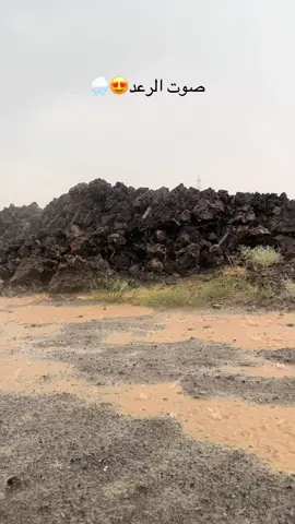 #اكسبلوررر #ارشيف #تصويري📸اكسبلوور #العيص_املج_الوجه_المدينه_المنوره 