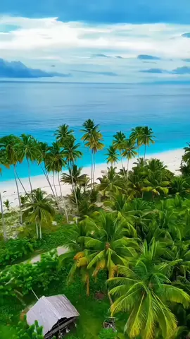 #bugistiktok #bugisfyp #fyp 