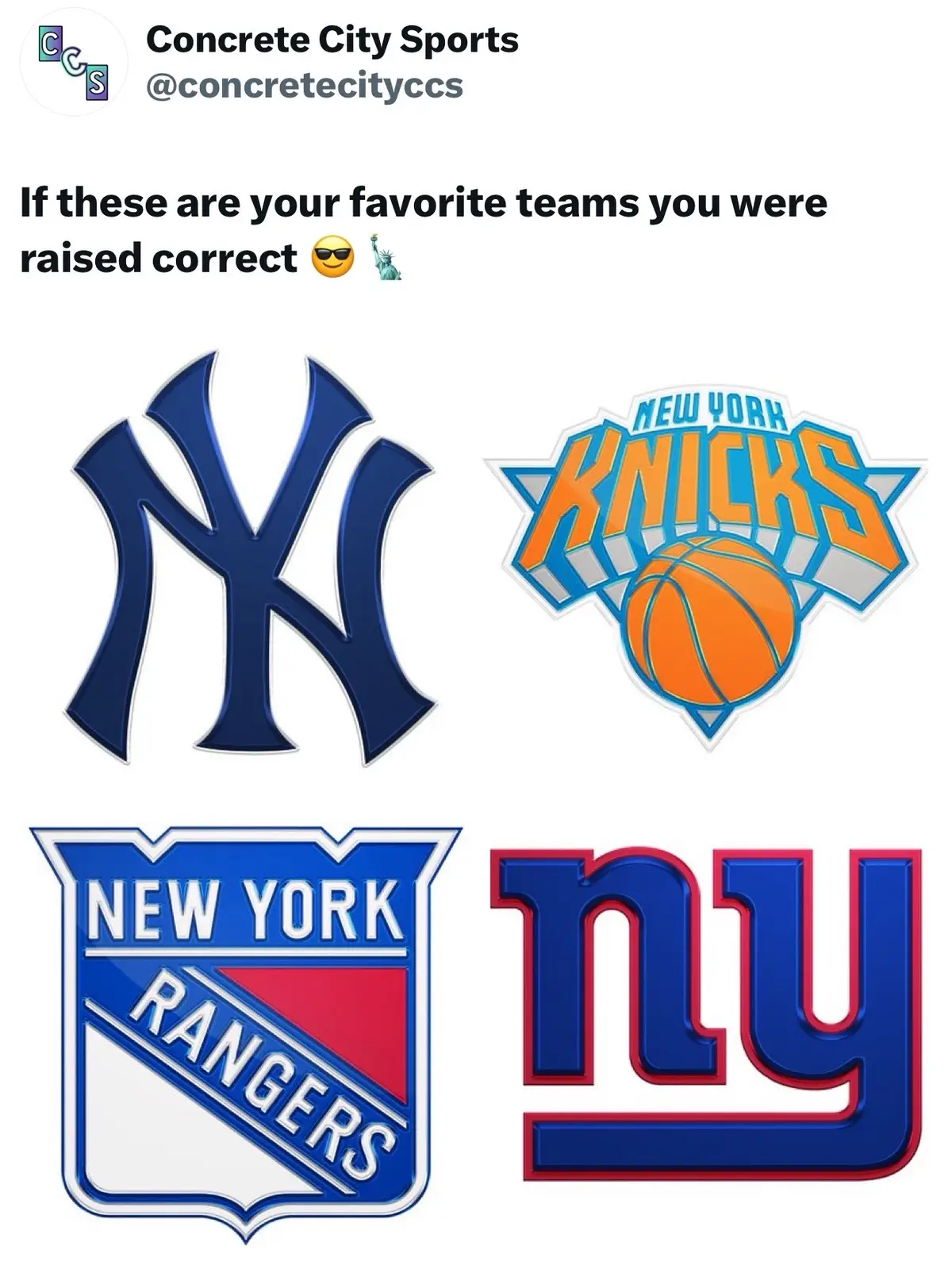 Cursed or not, nobody does it like New York fans 🔥🗽💯 #nyc #newyork 