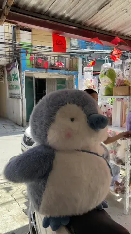 Có em chim cánh cụt nhỏ đang chờ các chị em nè #gấubông #review #tiktok #cute #fyp 