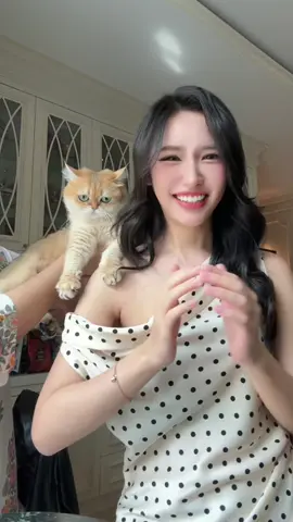 Violaaa~~~ 🐱🤣 #lookkaewkamollak #fyp #tiktok #cat #babyViola #britishshorthair 