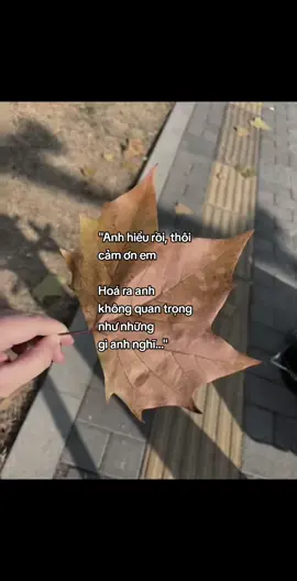 #vt_tan15 #xuhuongtiktok #fyp 