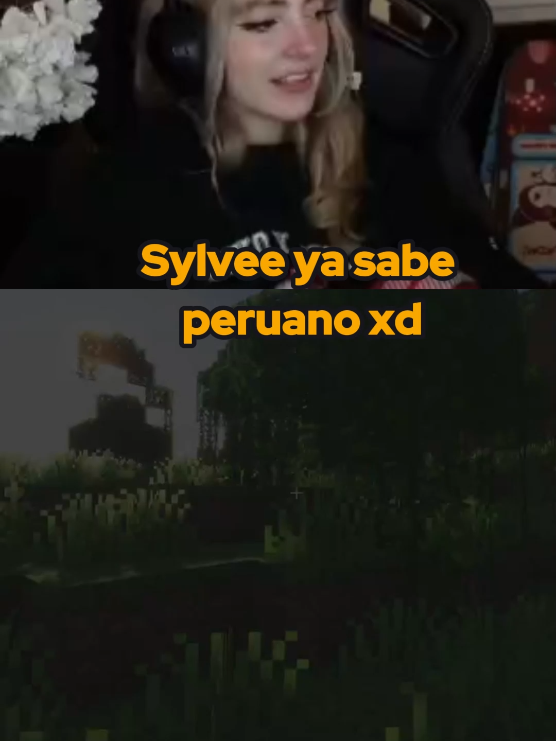 A Sylvee ya le sale hablar peruano naturalmente? xdd #sylvee #sylveey #tarmaland