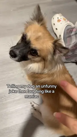 He walked out and then came back to see what was up🤨😆#fyp #dog #trend #foryou 