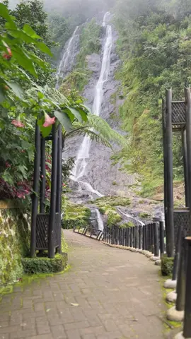 Seperti selendang yang terbentang dari atas… Spill foto kalian di curug sikarim #curugsikarim #diengwonosobo #waterfall 