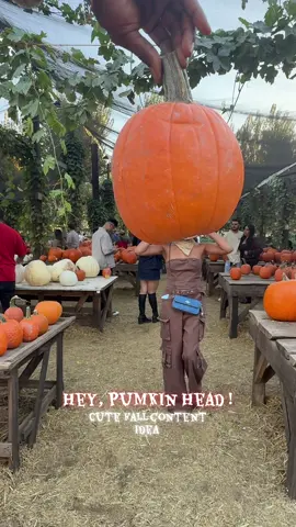 Pumpkin Head Trend on TikTok the girlie edition 🎃 Save this for a cute fall TikTok content idea! #pumpkinheadtrend #tiktokfalltrend #fallvibes #fall2025 #momandme  @𝓩𝓲𝓪 🎀 @Candicane2588 @LilsMo 