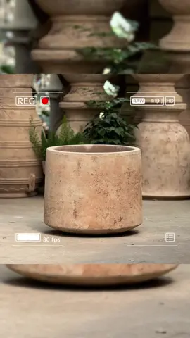 Best seller nhà mình 🫶🫶🫶  #chaudatnung #chaugiaco #chauteracotta #caycanh 