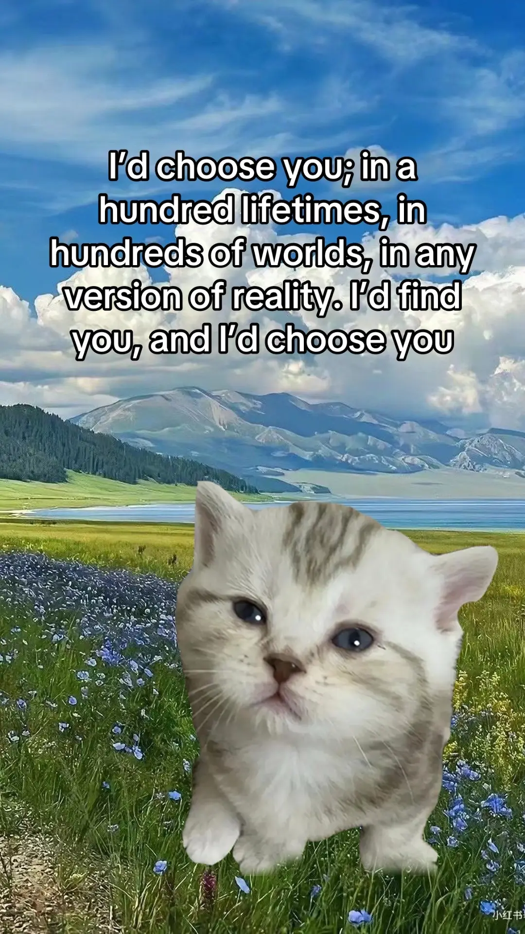 #fyp #relatablecontent #lovecore #streak #relatable 
