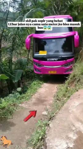 pak sopir sangat ahli dalam melahap tikungan jalan tanah #bus 
