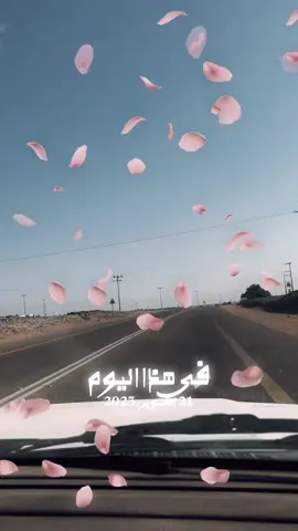 #في هذا اليوم 