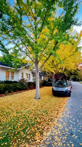 North Carolina 🇺🇸