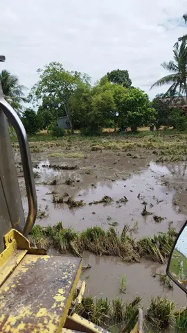 Habuan maggie goreng petang nie jadi laa🤣✌️