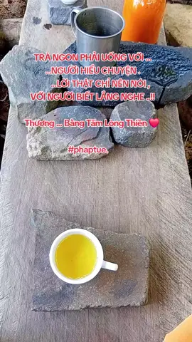 #phaptue. Đường sanh tử luân hồi mình đi , không thù oán gì mình đi đã mệt rồi ,còn cõng thêm nợ yêu thương người này, cõng thêm nợ ghét thù người kia chỉ thêm nặng vai chậm bước trên đường sanh tử mà thôi . Khi mình đang oan trái tức là mình cũng đang gieo duyên với nhau , các vị đừng nghĩ từ xưa tới giờ mình chỉ gieo duyên để gặp nhau ,để sáp vô với nhau, cái đó chỉ mới phân nửa thôi. Phân nửa còn lại là mình gieo duyên thương nhau và oan trái nhau mình cột lòng hận thù vào nhau cũng là một kiểu gieo duyên để rồi đời sau kiếp khác mình kiếm nhau mà xử . “ Tự mình đi qua mọi thăng trầm của cuộc đời mình , lặng lẽ và bình tâm như vậy “ Thương ‐‐---- Bằng tấm lòng thiền ❤️    ………………….. Núi 🏔️ …