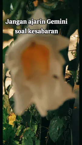 #tiktok #zodiacsigns #gemini #fyp #bukanmaen 