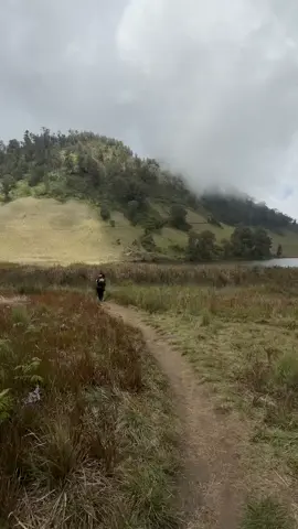 carried by THE view #ranukumbolo 