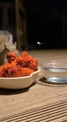 Squirrel Challenge the Spicy Chicken leg piece #viral #fyp #ai #funny #foryoupage 