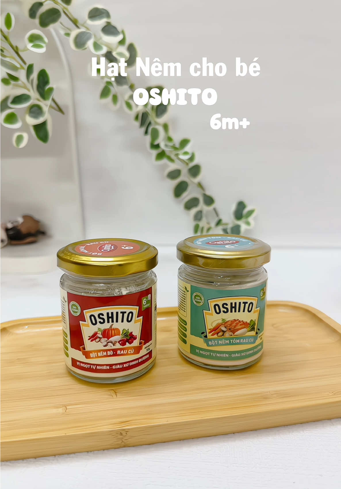 Hạt nêm này công nhận thơm nên cháo cũng có vị thơm trộm vía bé mình mê ấy các mom thử xem ạ #andamcungbe #oshito #botnemandam #giavichobe#viral 