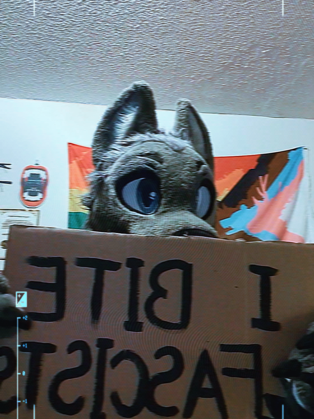 doing my civic duty 🫡  #nokings #nokingsinamerica #nokingsdayprotest #oakland #fursuit 