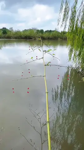 quá tuổi 30 phải nhớ #baihoccuocsong #conhanchilo #trietlycuocsong 