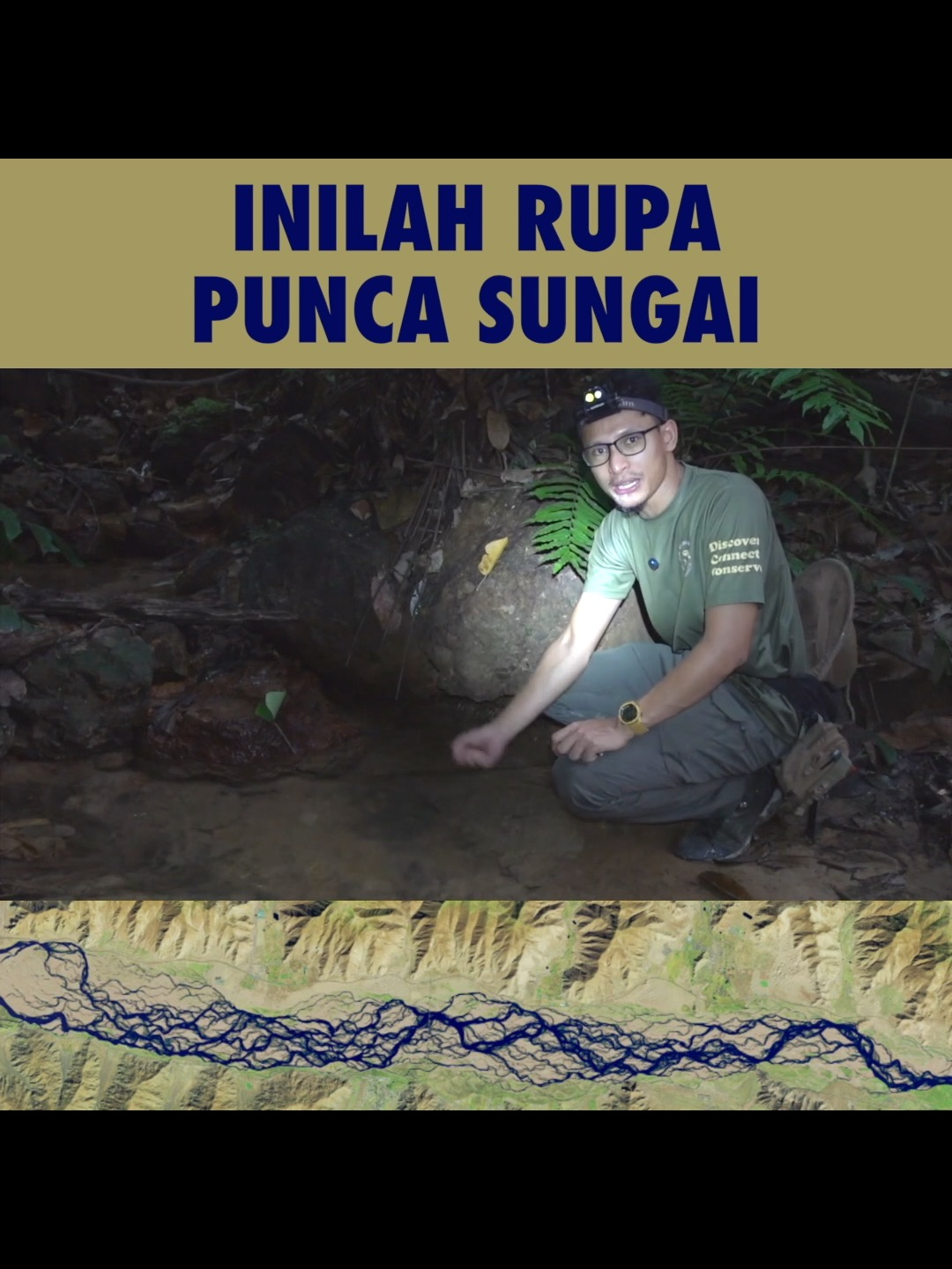 Seronoknya dapat masuk hutan macam ni.