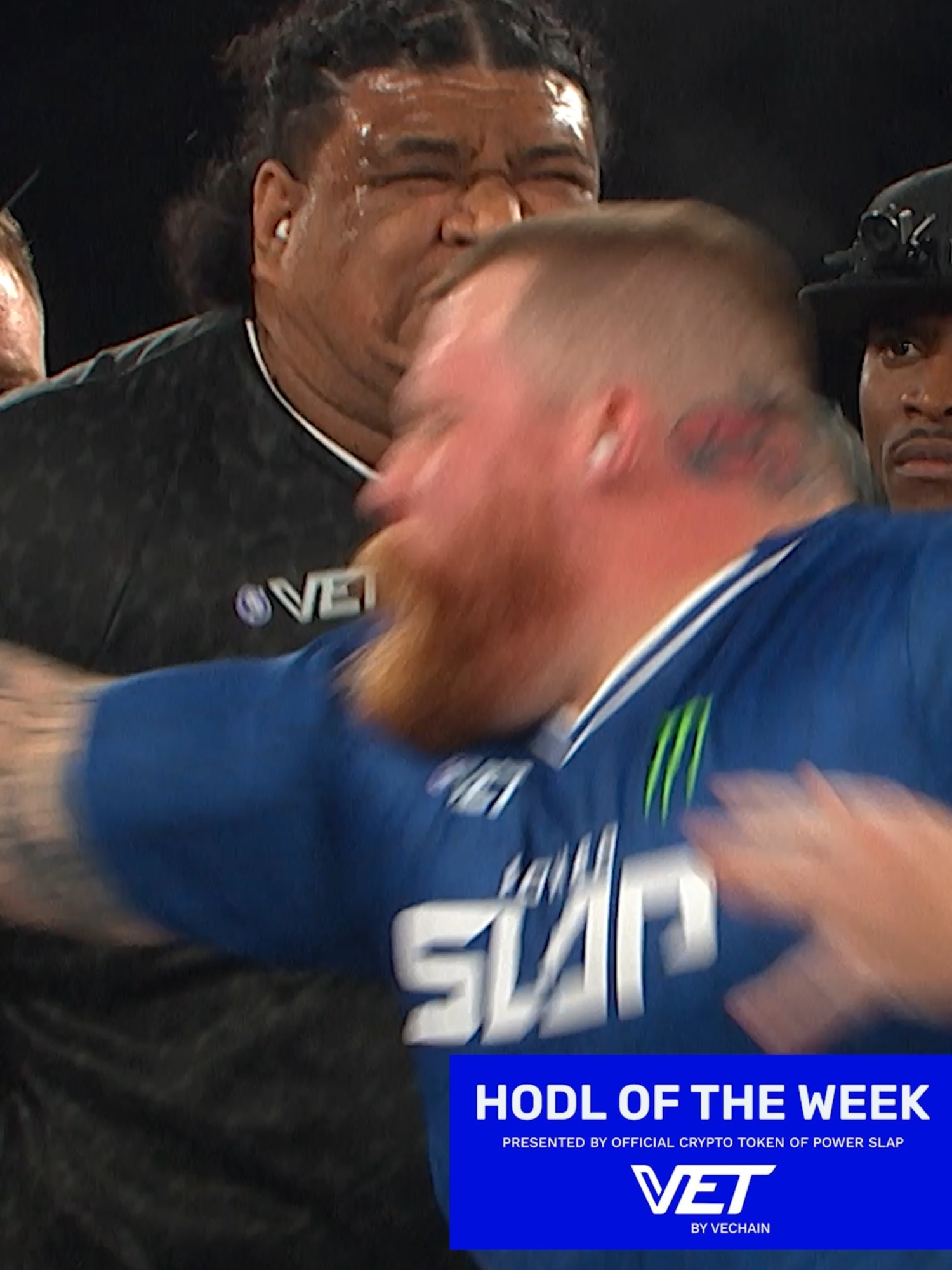 Not even the slightest bit fazed, earning Juicy the HODL eat of the week 🍽️ [ B2YB @vechainofficial_ ]