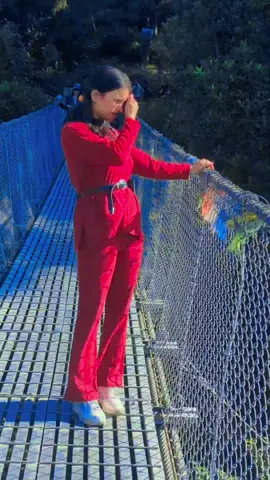 #naturewillhealyou #findingpeace 🧿🌲🌳🌿