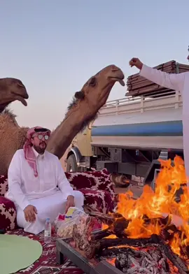 #اكسبلور #الأمير #ناصر #مشاءالله #ترندات_تيك_توك 