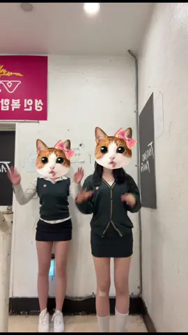 패딩 츄천 #fyp #추천 #08 