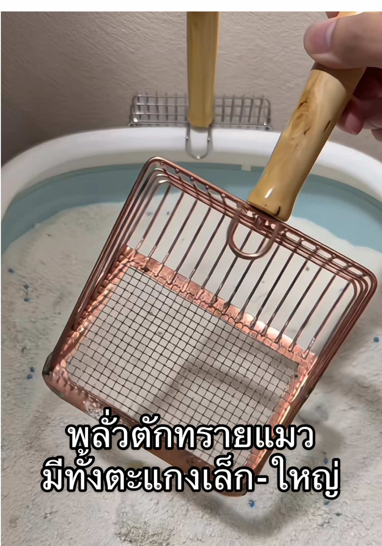 ตักได้หมดทั้งอึฉี่ ทรายสะอาดใช้ได้นานมากขึ้น #พลั่วตักทรายแมว #ที่ตักทรายแมว #ของใช้แมว #ทาสแมว #ฟีดดดシ 