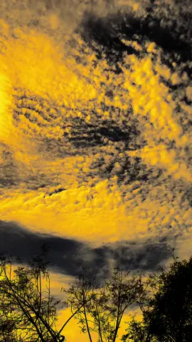 كيف يمكن أن نكون أنا وأنت، بينما أنت وهو اخترعتما قصة سراً؟ “Bagaimana mungkin kau dan aku menjadi kita, sedangkan kau dan dia diam diam membuat cerita.” #quotesarabic #arabicsong #arabicquotes #bismillahfyp #juarakonten 