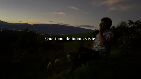 De verdad hay veces donde los días se sienten vacíos.  #mixed #americandad #macdemarco #reflexion 