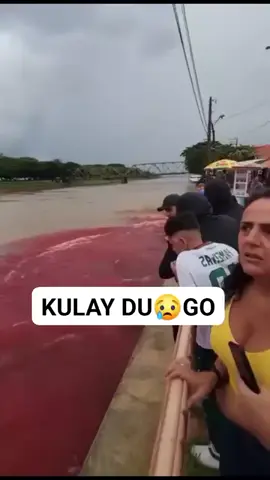 malalim ang kahulugan ng pagpula ng tubig o ilog sa Biblia. Hindi ito basta kulay o pangyayari; sa Banal na Kasulatan, ang pagpula ng tubig ay simbolo ng babala, paghuhukom, at kapangyarihan ng Diyos. Narito ang ilang batayan at kahulugan: 1. Ang Unang Salot sa Ehipto (Exodo 7:17–21) “Sa pamamagitan nito ay makikilala mong Ako ang Panginoon: Tutungtungan ko ang tubig ng Ilog Nilo ng tungkod na nasa aking kamay, at ito’y magiging dugo. Mamamatay ang mga isda, at mababaho ang ilog, at hindi na maiinom ng mga Egipcio ang tubig ng Nilo.” Kahulugan: Ang pagpula ng tubig bilang dugo ay tanda ng paghuhukom ng Diyos laban sa kasamaan at pagsuway. Ito’y paalala na ang kalikasan mismo ay sumusunod sa utos ng Maykapal kapag sobra na ang kasalanan ng tao. 2. Simbolo ng Paghuhugas at Paglilinis Sa ibang pagbasa, ang pula ay kulay din ng dugo ni Kristo, na naglinis sa kasalanan ng sanlibutan. Kaya kung sa panahon ngayon ay may ilog o dagat na tila pumula, maaaring ito’y paalala ng kapangyarihan ng Diyos na naglilinis at nagpapaalala sa sangkatauhan na magbalik-loob. 3. Sa Propesiya (Pahayag 16:3–4) “Ibinuhos ng ikalawang anghel ang mangkok sa dagat, at ito’y naging parang dugo ng patay na tao, at ang lahat ng may buhay sa dagat ay namatay.” “Ang ikatlong anghel ay ibinuhos ang mangkok sa mga ilog at bukal, at ang mga ito’y naging dugo.” Kahulugan: Ito ay hudyat ng malapit na paghatol at pagpapanumbalik ng katarungan ng Diyos sa mga bansang nagiging masama at marumi. Ang tubig — na simbolo ng buhay — ay nagiging dugo, simbolo ng paghuhusga at pagsasauli ng kabanalan. Buod: Kapag pumula ang ilog, sa Biblia ito ay: Babala ng Diyos laban sa kasalanan. Palatandaan ng paglilinis o paghuhukom. Paalala ng kapangyarihan ni Kristo na magbigay-buhay at maglinis ng kasalanan sa pamamagitan ng dugo.