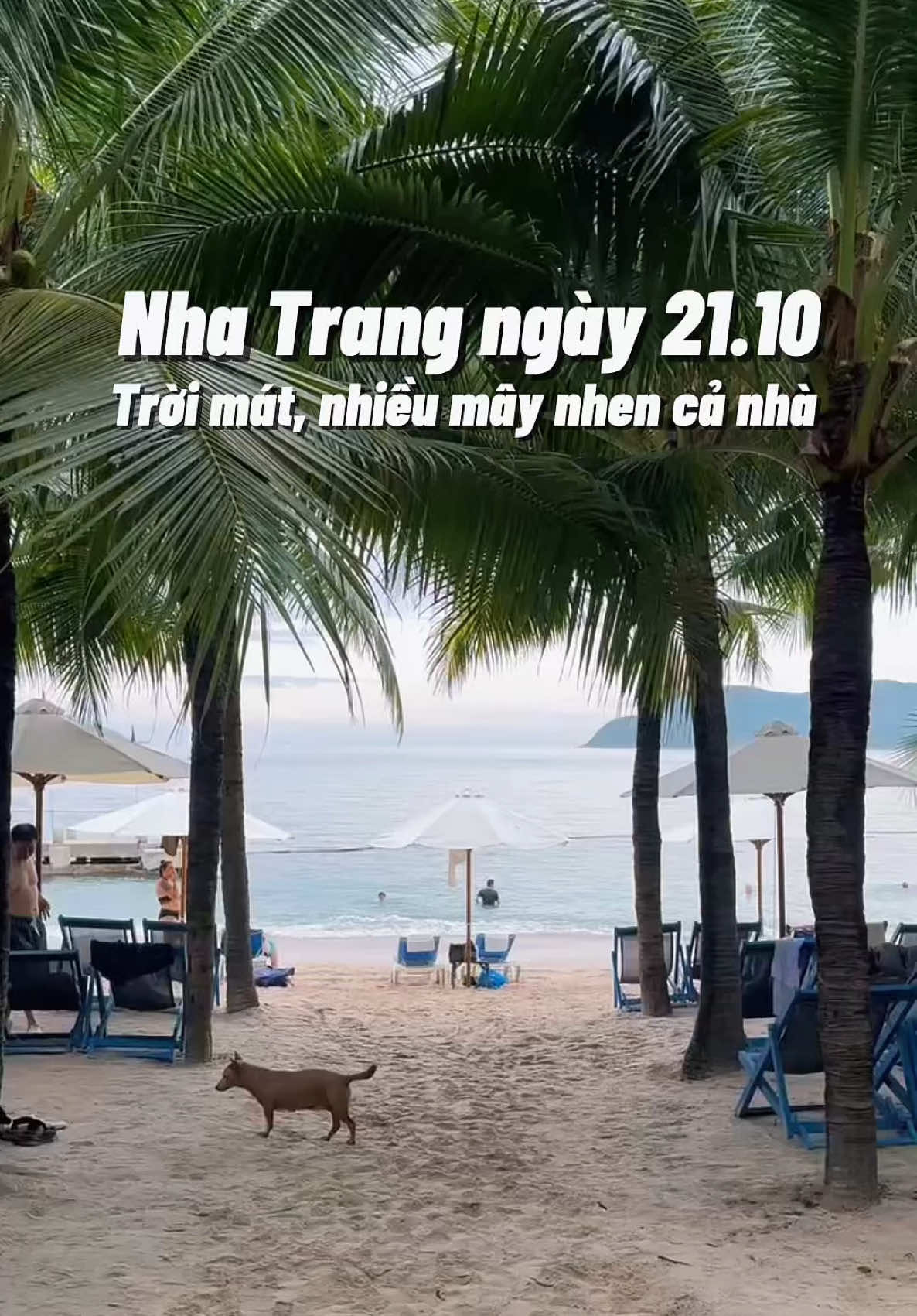📍Thời tiết Nha Trang ngày 21.10 #lacanhatrang #thoitietnhatrang #dulichnhatrang #nhatrang #thoitietnhatranghomnay 