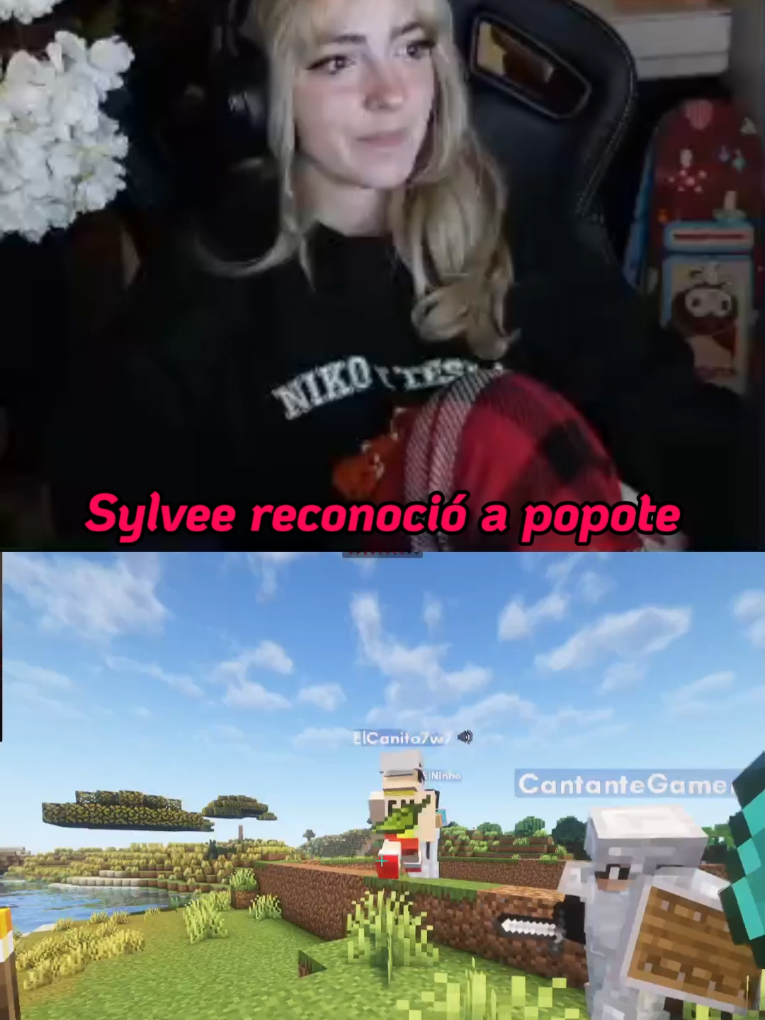 #sylvee #sylveey #fyp #serie #Minecraft #elcañita