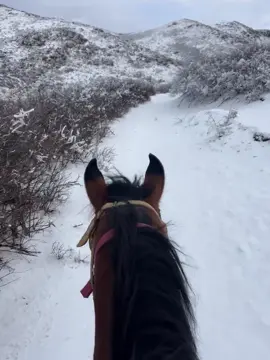 #❄️❄️