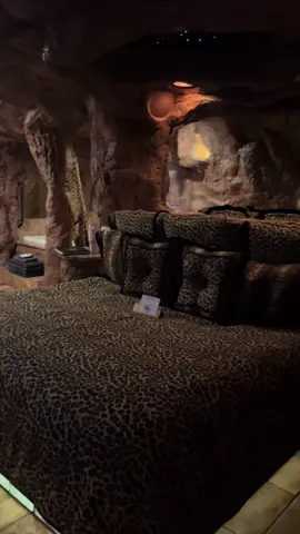 Our hotel room for the night  Look how cool!! Im obsessed😍😍 #themedhotel #hotelroom #romanticgetaway #idaho @Black Swan Inn Theme Rooms 