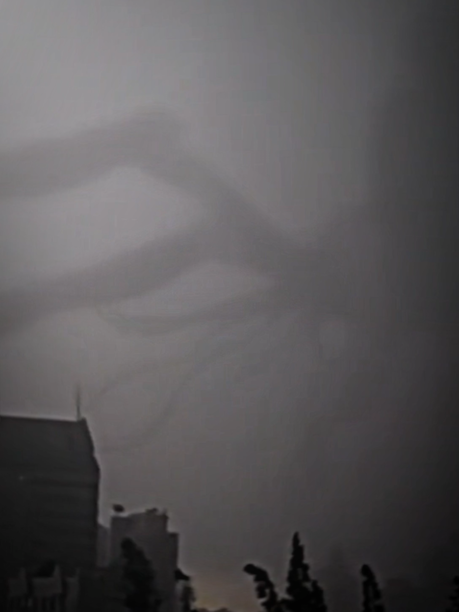 bro, What's that ☠️ #spider #omg #viral #real #empire 