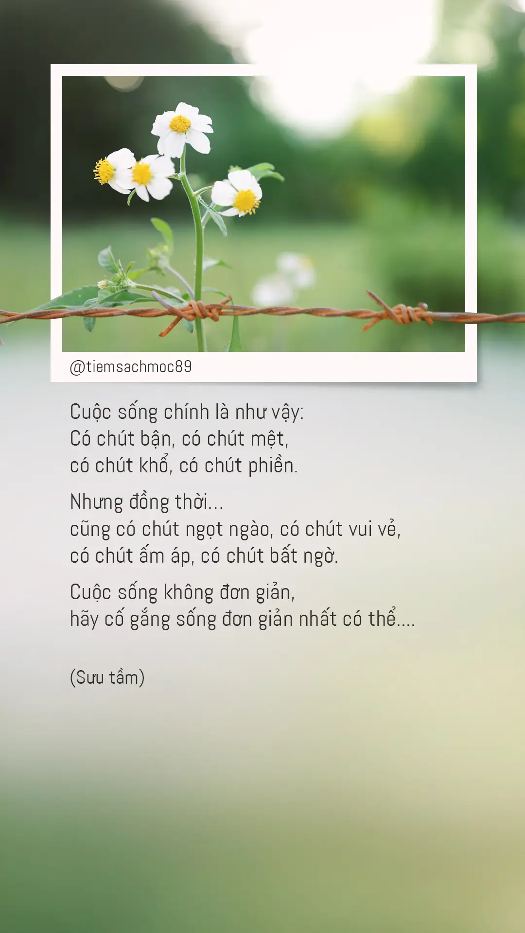 Hãy cố gắng sống đơn giản nhất có thể #fyp #tiemsachmoc89 #tamtrang #caption #status 