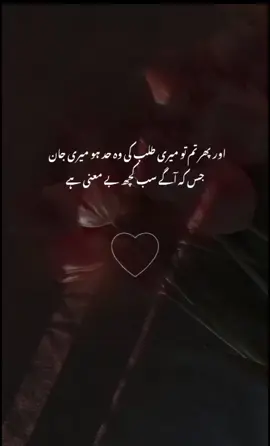 jis k agy sab Koch be meine sa hai💗🌸🕊️#foryou #1milionviews #fouryourpage #poetry #100kfollowers 