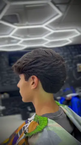 #señorcitobarber #chihuahua #corteencapas #corteclasico 