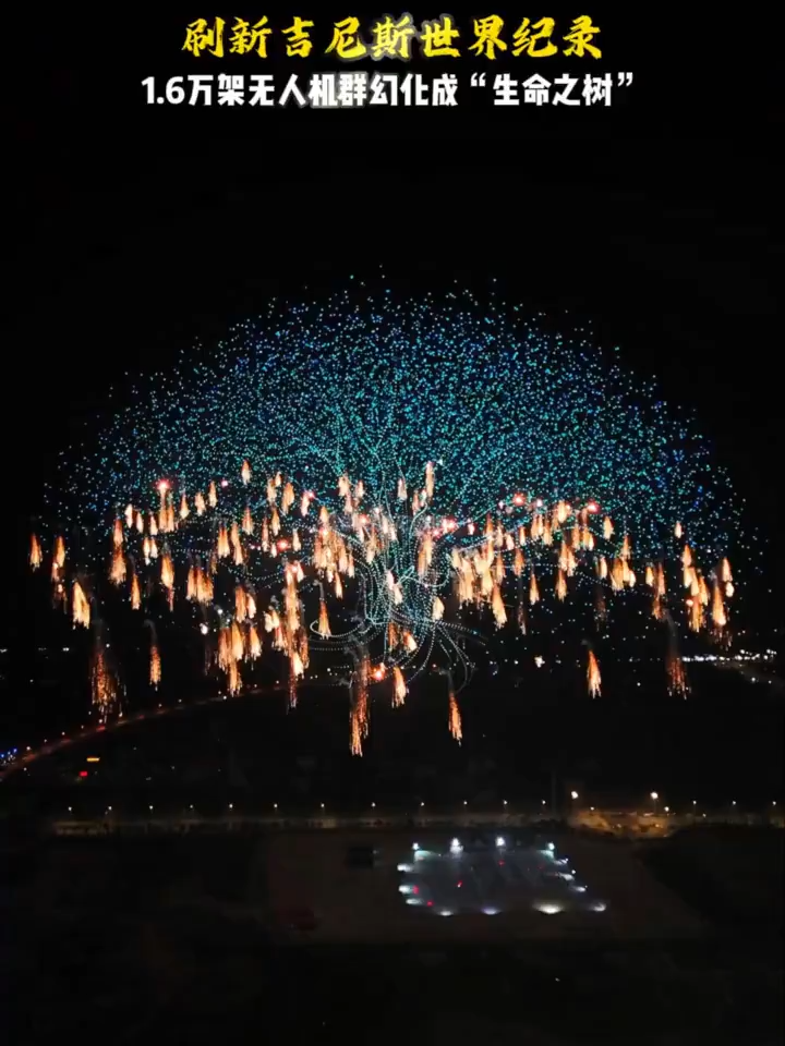 A tree of life blossomed in the night sky in Liuyang, Hunan Province —  an amazing symphony of nearly 16,000 drones.