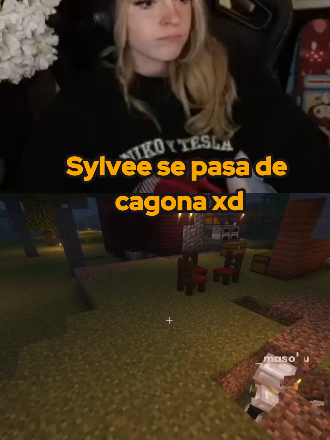 Sylvee se pasa de fria con @masokugg #sylvee #sylveey #tarmaland