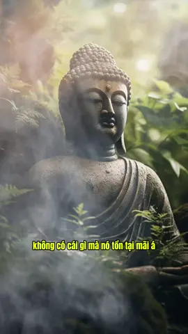 không có gì mà nó tồn tại mãi mãi cả … #phatphap #phatphapnhiemmau #annhien #loiphatday #chualanhtamhon #thayminhniem 
