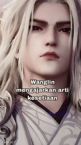 setiap donghua memiliki arti makna dan pembelajaran sendiri yang bisa kita ambil #FYPIndonesia #dinghuachina #zangxiaofan #renengadeimortal 
