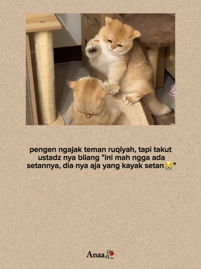 Takut ustadznya bilang 